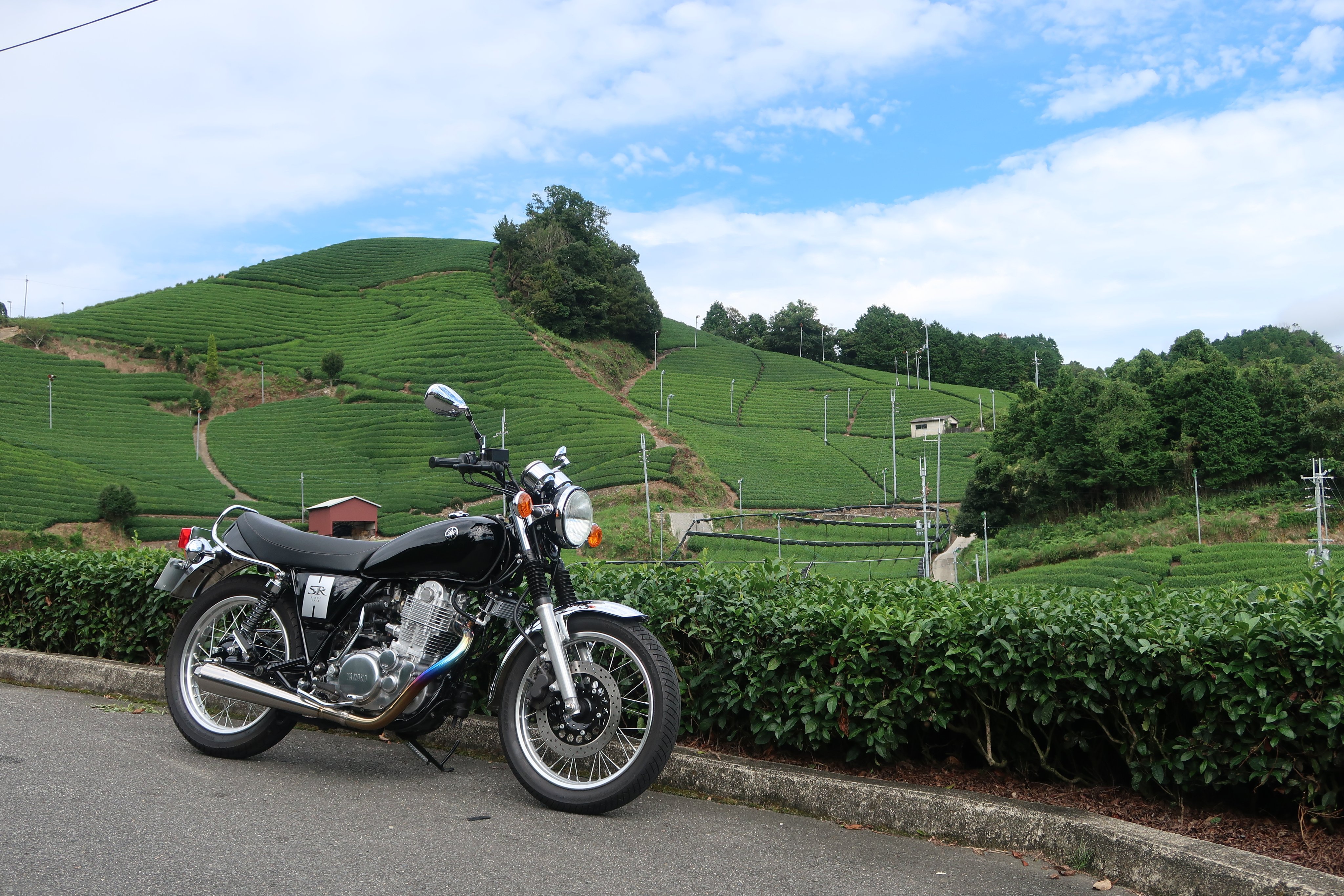 サルート 12グループ バルセロナ D70&ソングM BL