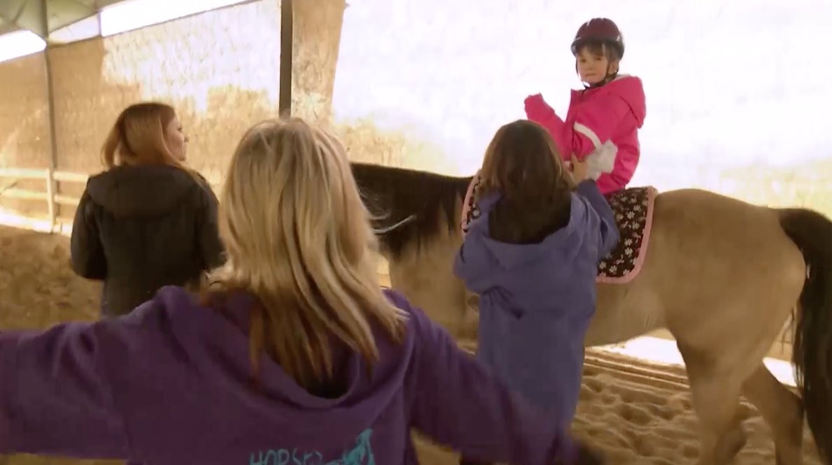 CSS Animal Tales tweet media