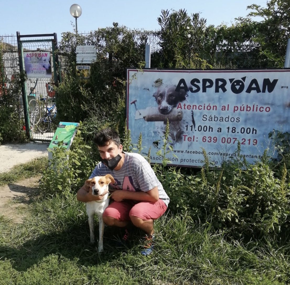 fergodani's tweet photo. 🐕 Como cada sábado, acudimos a dar un paseo a Tuti, la perrita que tenemos apadrinada en #ASPROAN #Santander
En la foto aparece la información para poder ayudar a nuestros amigos de cuatro patas. https://t.co/ghZ4ew8IUA