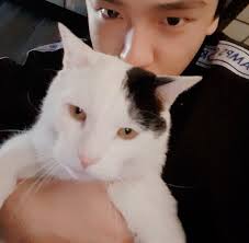 You did it anyway, onto the true stars in 1team