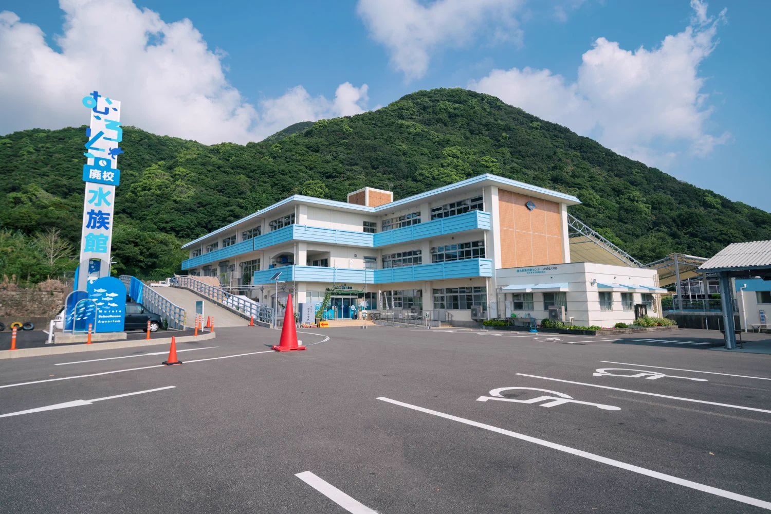 むろと廃校水族館が子供の頃の夢の場所みたい！プールにサメが泳いでる！！