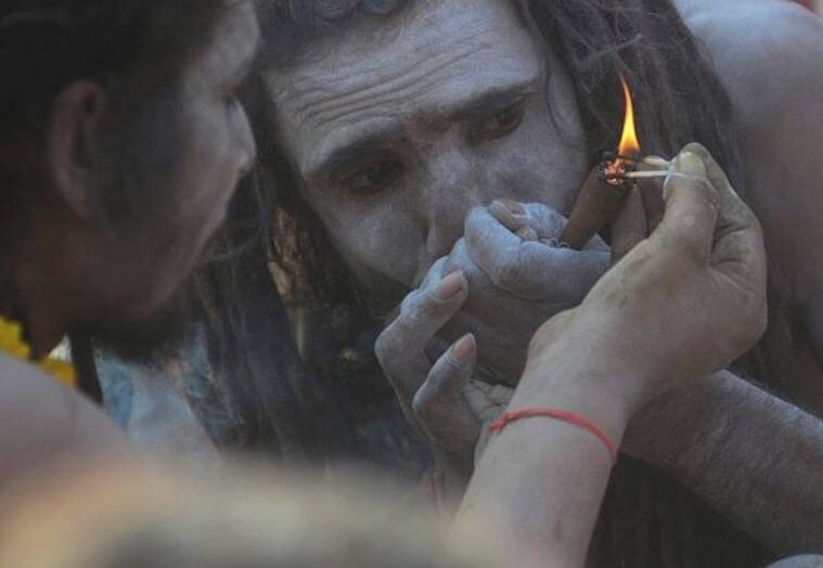 Given its religious significance, weed is also ritually consumed by ascetics or sadhus. More often they smoke the highly resinous buds of the female plant or the resin itself (hashish) in small clay pipes, which are locally referred to as chillum. https://bit.ly/3mhnS1m&nbsp;