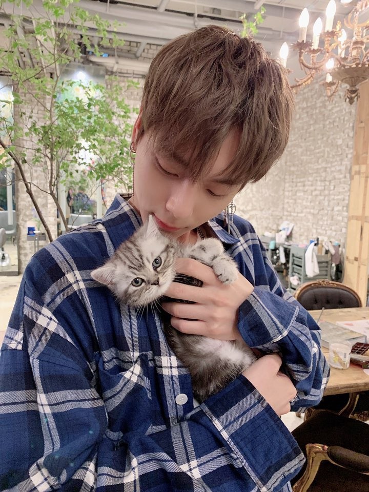 And who ever this kitten is. I hope its day is going great and its getting plenty of pats