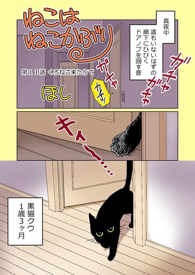 【ねこはねこかぶり】
第11話 くろねこ来たりて(1/2)
クウが1歳3ヶ月を過ぎた頃、深夜になぜかドアの閉まった部屋から出ていたということが数回ありました。
そしてある晩聞こえて来たのです。夜中にドアノブをガチャガチャ回す音が…
#ねこはねこかぶり  #黒猫
#黒猫クウ #ねこ漫画 