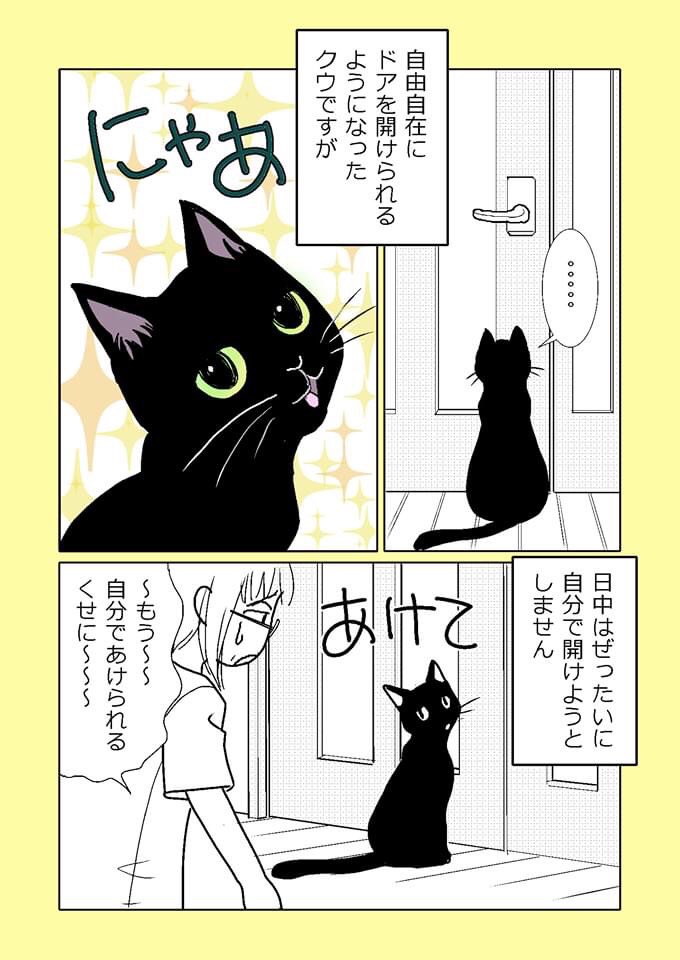 【ねこはねこかぶり】
第11話 くろねこ来たりて(2/2)
ねこに振り回されるひとびと

#ねこはねこかぶり  #黒猫
#黒猫クウ #ねこ漫画 