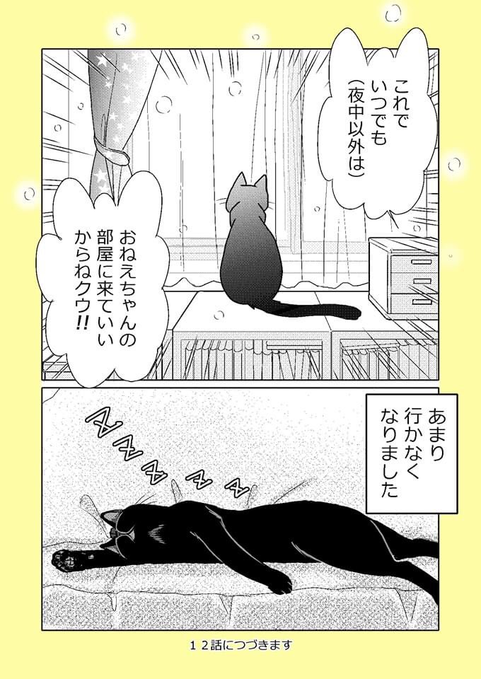 【ねこはねこかぶり】
第11話 くろねこ来たりて(2/2)
ねこに振り回されるひとびと

#ねこはねこかぶり  #黒猫
#黒猫クウ #ねこ漫画 