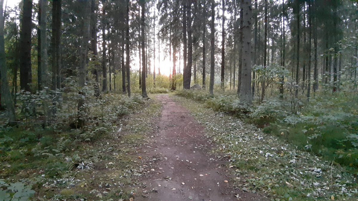 IsomakiEija's tweet photo. Tänään #fuckcancerrun. Juoksu on nautinto, syöpä painajaiseni. Nykyään jopa joka kolmas suomalainen kohtaa syövän. Oman isäni se vei liian aikaisin. https://t.co/33A6crIZjd