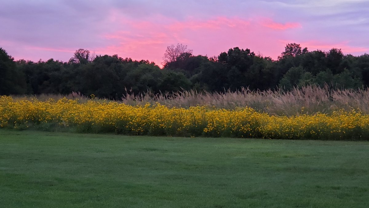 Wonderful day at golf yday. The weather was perfect. Way to recharge!