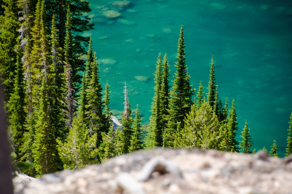 ModFam_global's tweet image. Maps of the Sawtooth National Recreation Area

modfam.global/best-baron-lak…


#ModFam #ModFamGlobal