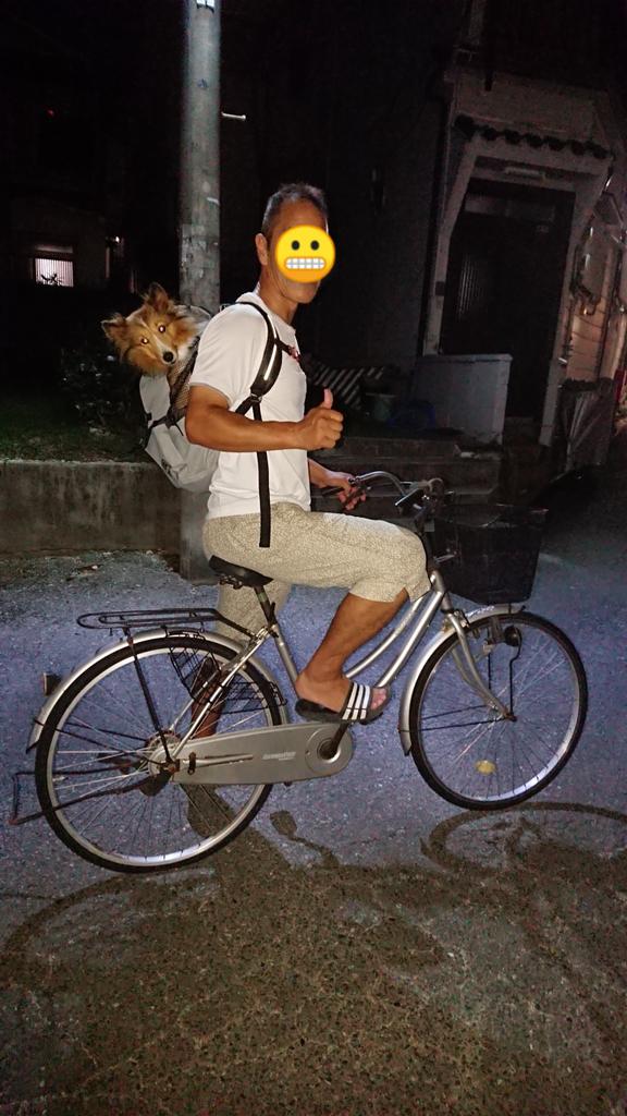 犬用リュック Twitter Search Twitter