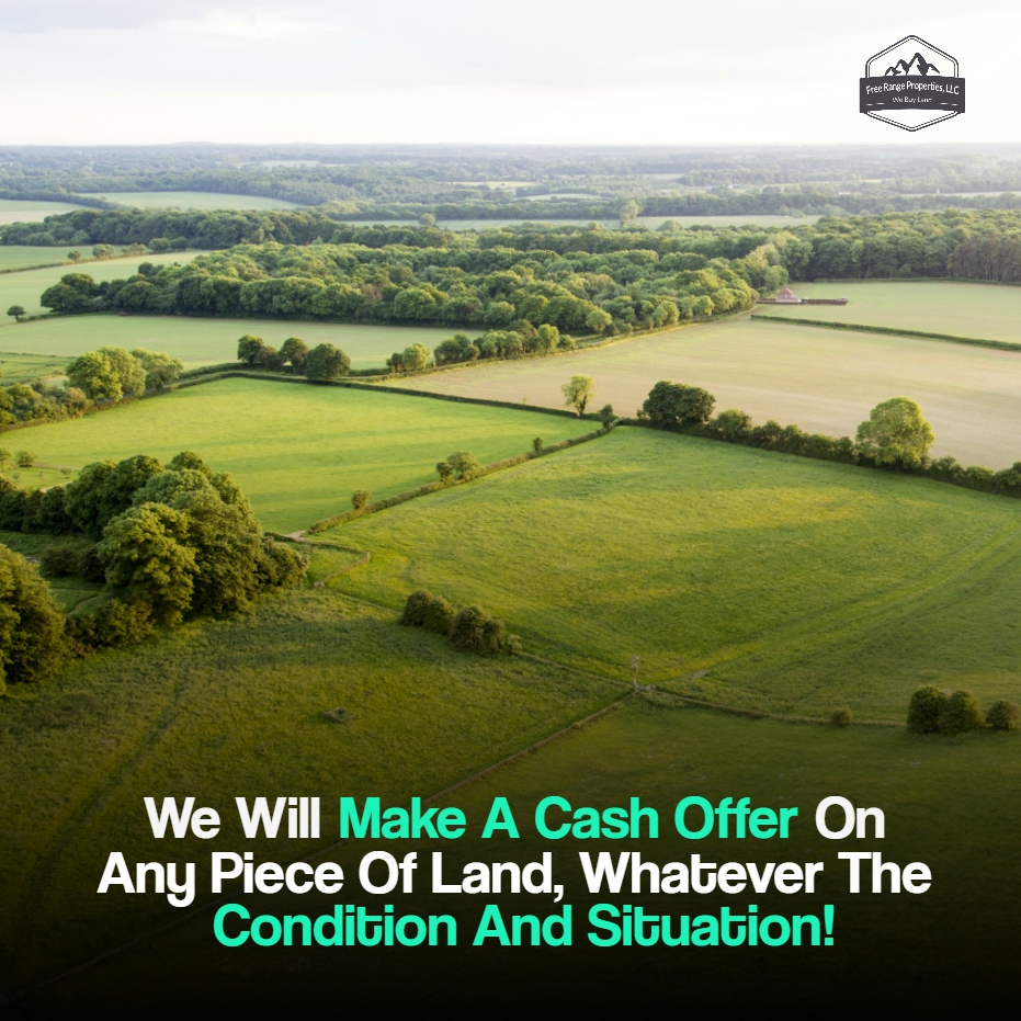 FreeRangeProp's tweet image. We’ll pay in cash for any kind of acreage including farmland, forestry use land, rural land, residential or commercial use land. It doesn’t matter!
-----
Learn more: freerangeproperties.net
.
.
.
#freerangeproperties #land #realestate #nature #landscape #property #realtor #house