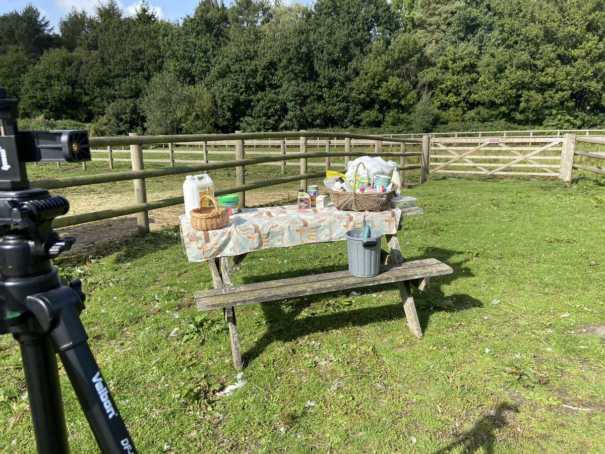 hensforhire's tweet photo. All set up for today’s zoom hen keeping course #hens #chickens #omlet #easichick https://t.co/zNJSMBK5JE