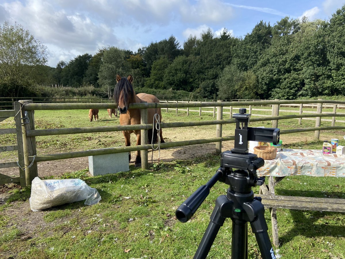 hensforhire's tweet photo. All set up for today’s zoom hen keeping course #hens #chickens #omlet #easichick https://t.co/zNJSMBK5JE