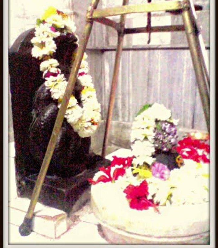 Shiva also entered to that Pārthiv Linga created by the Sadhvi in the purest aspectif Shiva's Bhakti,from that very day the place became auspicious and Param Sukhā Dāyak Dhām of Shiva and the sight of which destroys all kinds of Doshās & man gets the ultimate happiness & Mokshā.