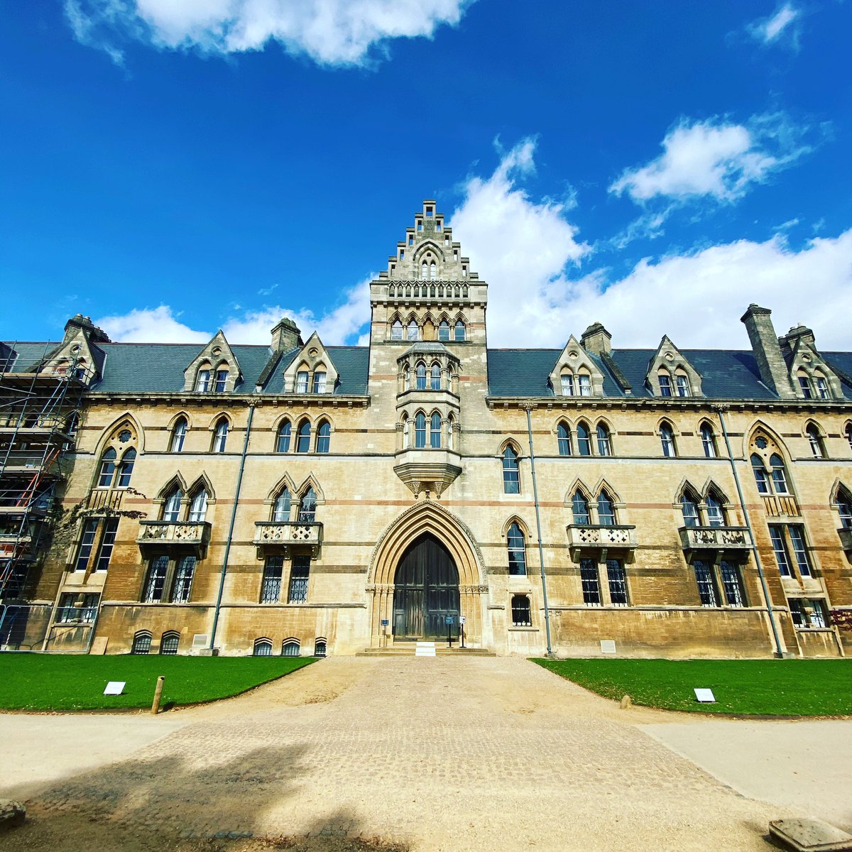 Gimbal Walk TV tweet media