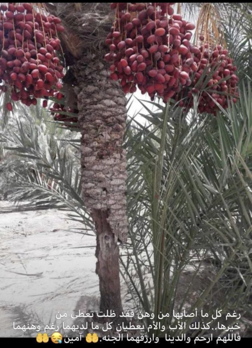 مثل الأم تعطى حتى وان كانت محتاجة الله يطول في إعمارهم يارب و ارحم من فقدها  #الرياض