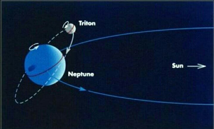 Triton is the only large moon in the solar system to orbit in the opposite direction that its host planet rotates (retrograde: see image). Its orbit is also highly inclined to Neptune's spin! For these reasons, it's likely Triton is a Pluto-like dwarf planet that was captured