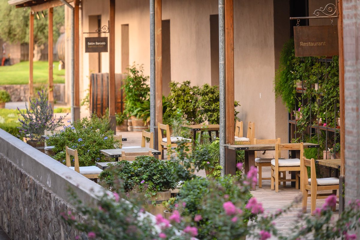 La terraza de Abrasado tiene su época de apogeo durante la llegada de la primavera. El tenue sol, una copa de vino y las flores. ¡Vení a conocernos!
Reservas vía whatsapp 📲2616618624