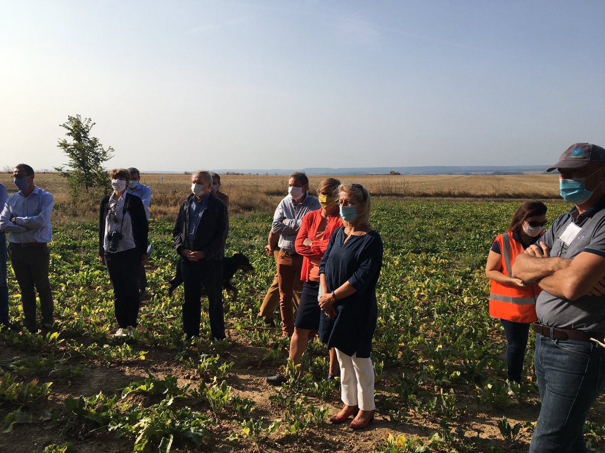 Synd. Betteravier 02 tweet media