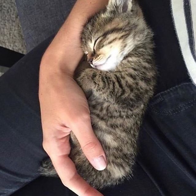 Yoooo! ne teması ne bağımlısı?