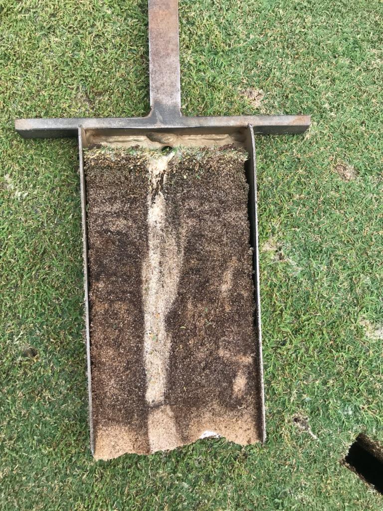 Ryan Richard tweet media