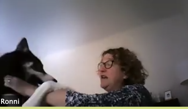 MaffPotts's tweet photo. Attacked by a huskie! ๐ฎ Anybody else get "interrupted" by a pooch during a Zoom call? I think our four legged friends are wanting company too as #SpoonRoom is seeing them more & more. The canine pal of @realteaplease even finds it an aphrodisiac! #Cameradog https://t.co/sSU5KJThJP