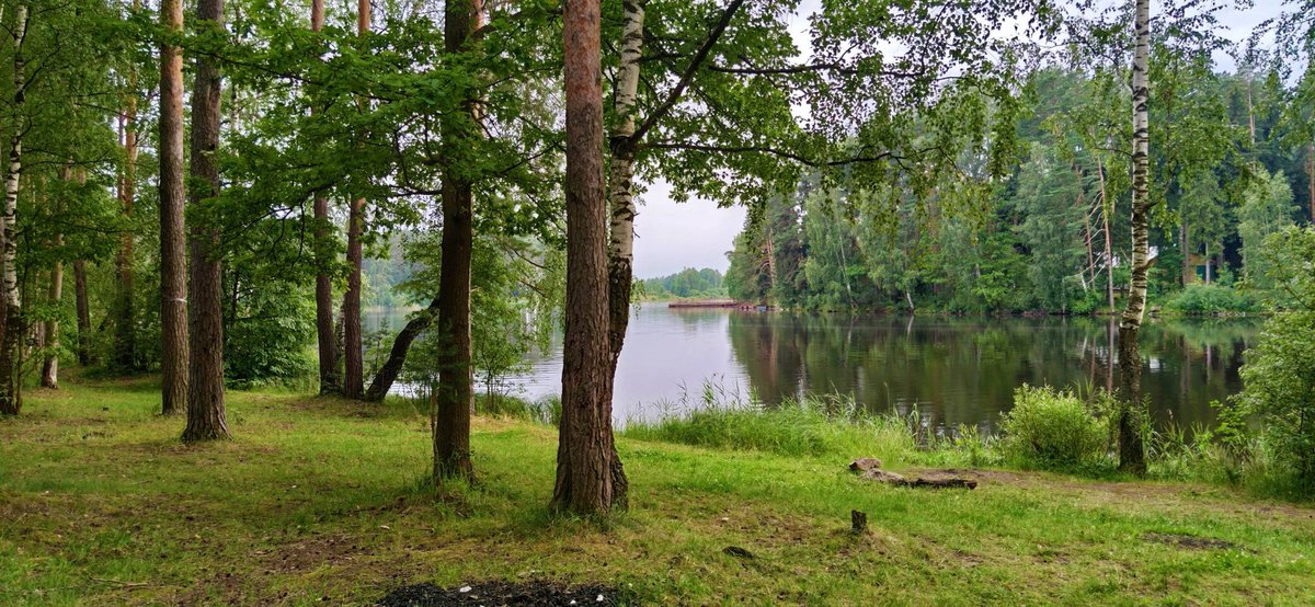 Krasoti_Rossii's tweet photo. #КрасотыРоссии #Красоты_России #Россия https://t.co/cyw0r32PAQ