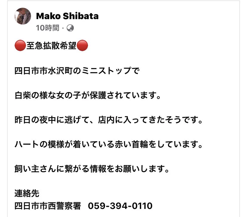 「拡散」四日市水沢町ミニストップにて、白柴を保護！