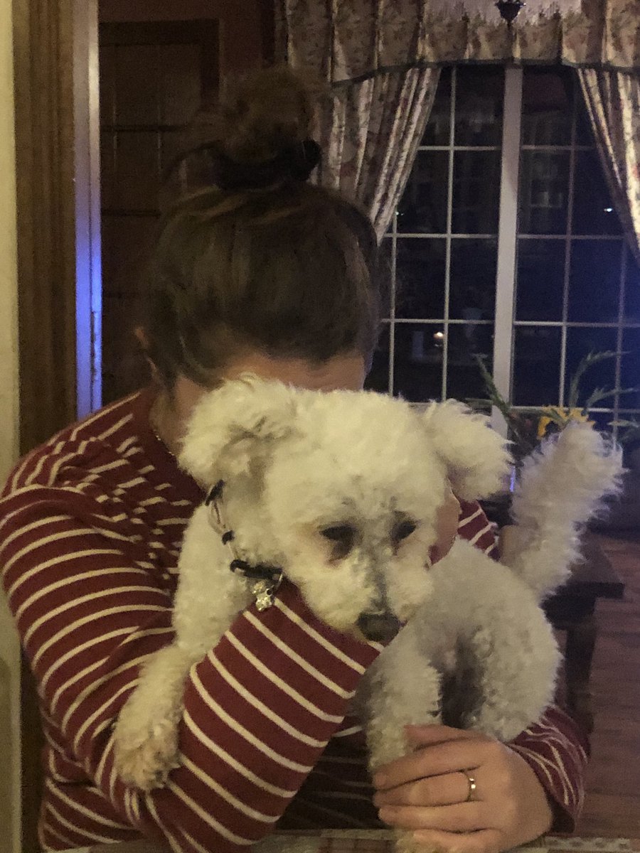 We didn’t think we were drunk last night and then we discoverered this photo shoot we apparently did with our dog... <a href="/ClaireOLearyx/">Claire O’Leary</a>