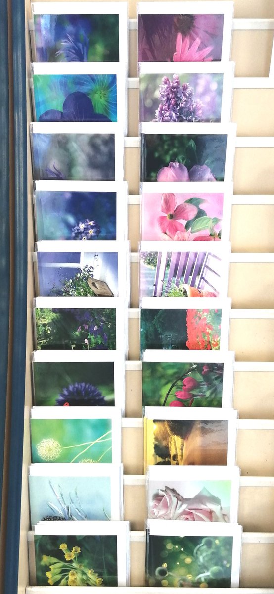 GalpinImages's tweet photo. Beautiful new A6 floral greetings cards by @AlisonC24426188.
Purchase from Lodge Moor Post Office, 58 Rochester Rd, Lodge Moor, Sheffield, S10 4JQ.
#AlisonChambers, #Floralcards,
#twitter, #Sheffieldissuper,
#LodgeMoorPostOffice https://t.co/2fCd6vfYx2