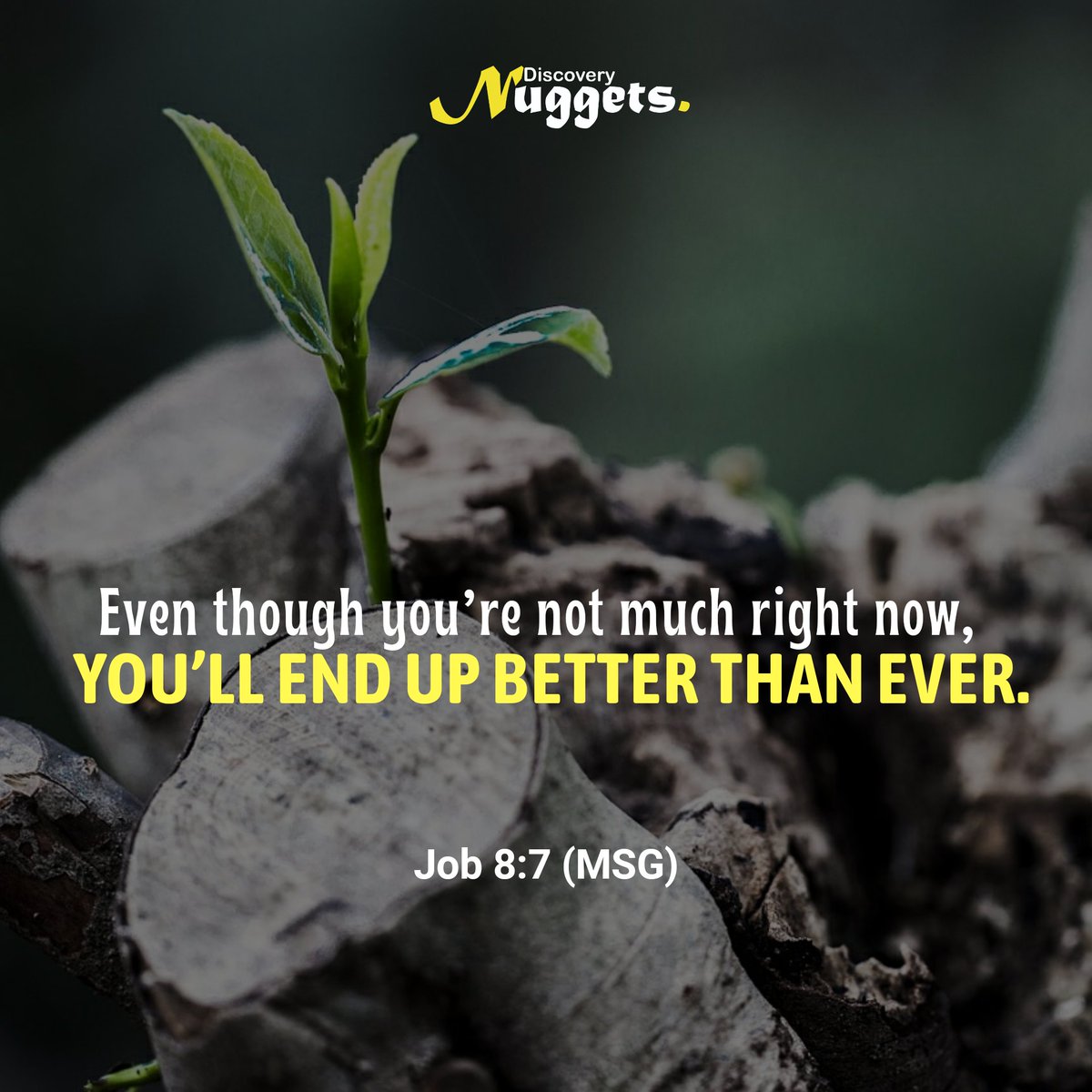 icgcdiscoveryt's tweet photo. Start small, but by all means aim for greatness.
Your latter end will be greater!
#restoration #DiscoveryNuggets #QUICKquotes https://t.co/ozOS4H9ZVM