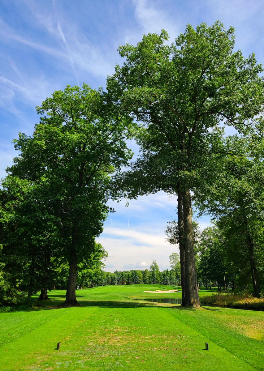 OrsonRosas's tweet photo. 175-yd par 3. Forget about the club you'd use. 

Does the chute created by these trees bother you, or do you feel it adds to the hole? https://t.co/RI2G3morxe
