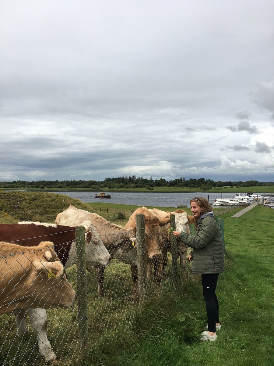 kfox2127's tweet photo. @deanbcrnes This ones for all the adult cows out there 🐮 https://t.co/AyY0VeFyU3