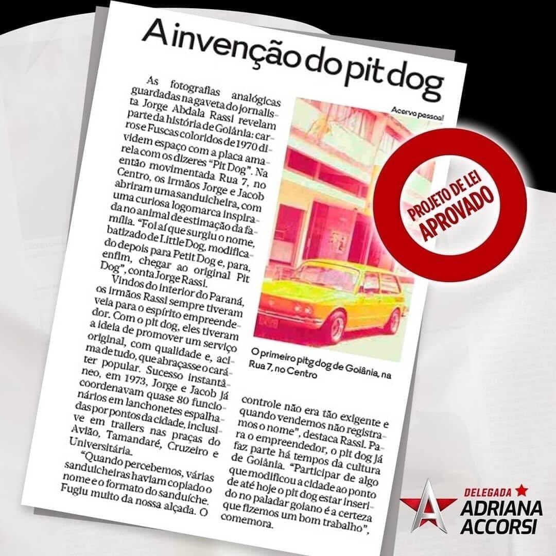 Adriana_Accorsi's tweet photo. Da gosto de ver nossa paixão regional ganhando destaque! O @jornal_opopular deste sábado trouxe duas matérias especiais em que destaca a aprovação do meu Projeto de Lei que DECLARA OS PIT DOGS PATRIMÔNIO CULTURAL de Goiás!

#DelegadaAdrianaAccorsi
#PitDog 
#Goiânia 
#Goiás https://t.co/muXIrKB0L4