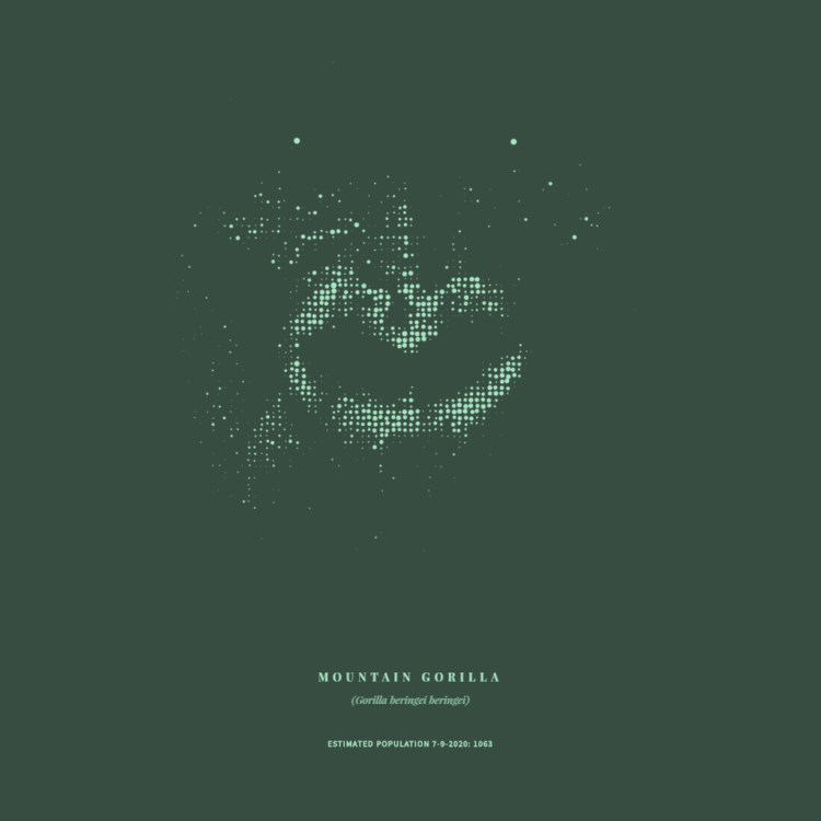 Disappearing animals as a matrix of dots
Reddit user WhiteCheeks used dot density to show population counts of various animals. Each dot represents an animal. So animals with lower counts show less obviously.
subscribe : bit.ly/3eHDYxl
#TuscanGP #moterwayincident