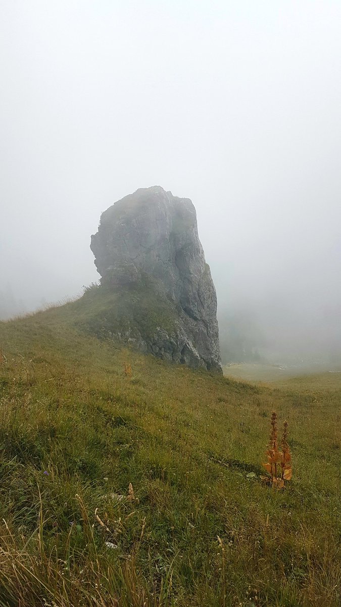 KeineAhnung1604's tweet photo. #21TageFreiheit, Tag 6: Heute ging es hinauf in die #Wolken: #Breitenberg und #Aggenstein. Ich kann mich nicht sattsehen. 💙 https://t.co/QeWY28u8K7