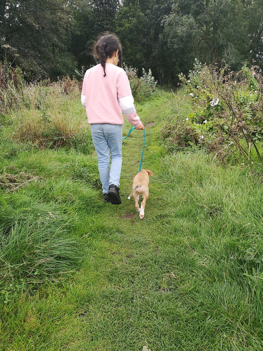 wendydrums's tweet photo. First outing for our newest family member. #RobinDoyle https://t.co/qNSi1MEqlq