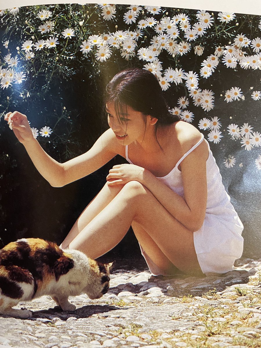 姨丈の家に20年以上前に台湾で発売されたビビアンスー(徐若瑄)の写真集