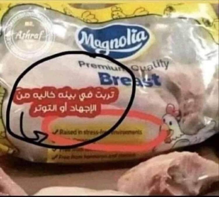 nirvana_sa's tweet photo. يا بختك يا فرخة https://t.co/pJt2H8rGEH
