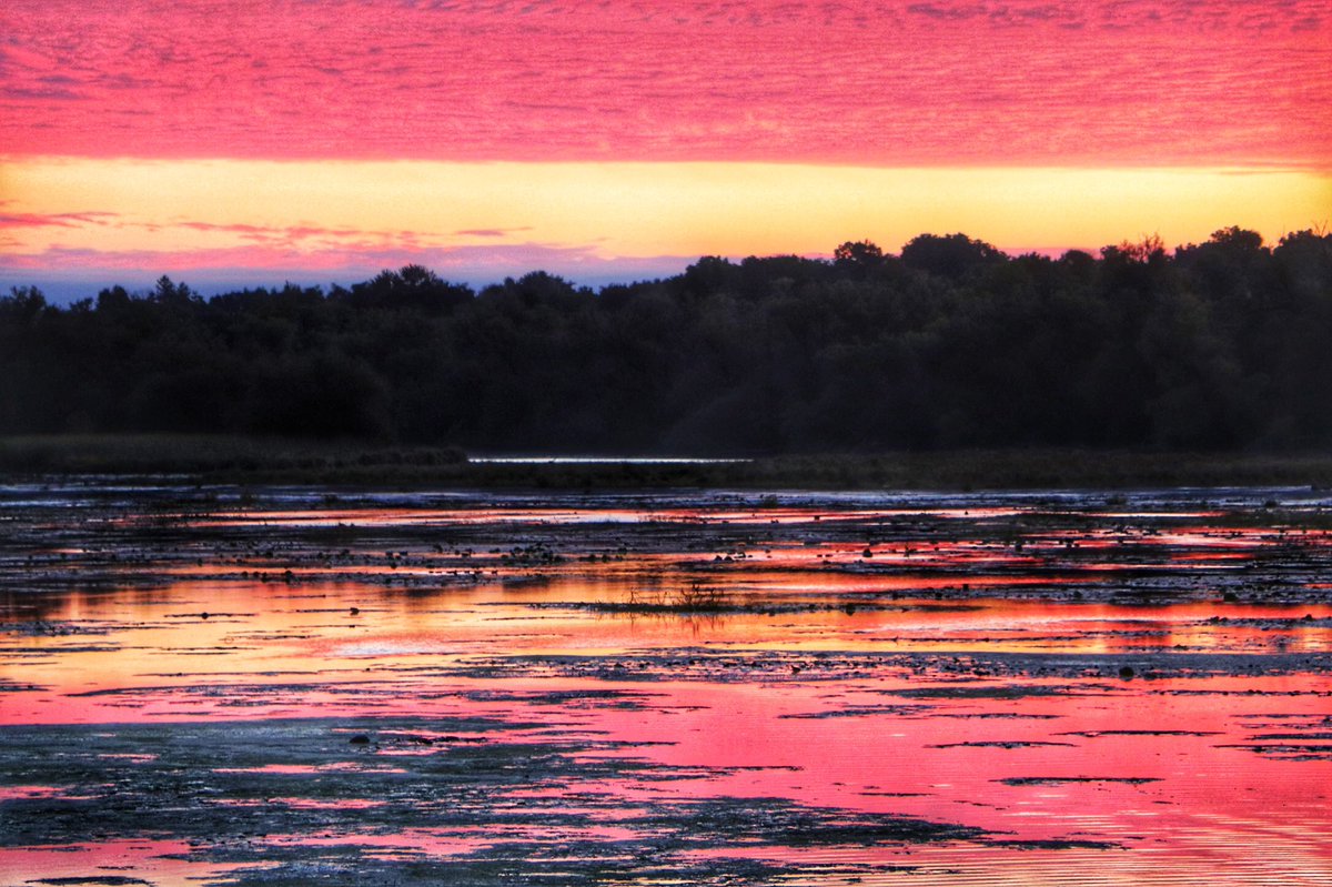 Mill pond in Hespeler @cityofcambridge #cbridge #wrawsome