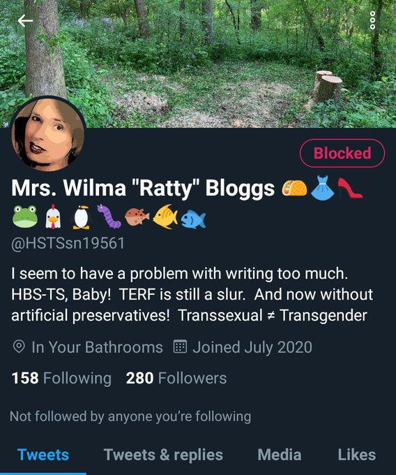 There also an equal amount of HSTS accounts popping up, spouting the opposing gibberish.....Its funny how how none of these 'true transsexuals' seem to have a normal everyday profile or names, like mine, you'd think they'd be proud to show their gob.