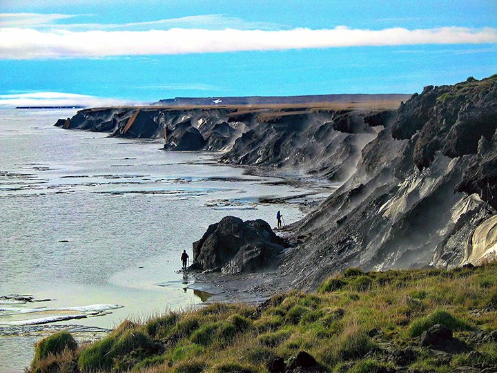 Wow! For the first time, the preserved body of an extinct cave bear has been found in the permafrost in Russia. Scientist Lena Grigorieva says, "It is completely preserved, with all internal organs in place including even its nose."  https://siberiantimes.com/other/others/news/first-ever-preserved-grown-up-cave-bear-even-its-nose-is-intact-unearthed-on-the-arctic-island/