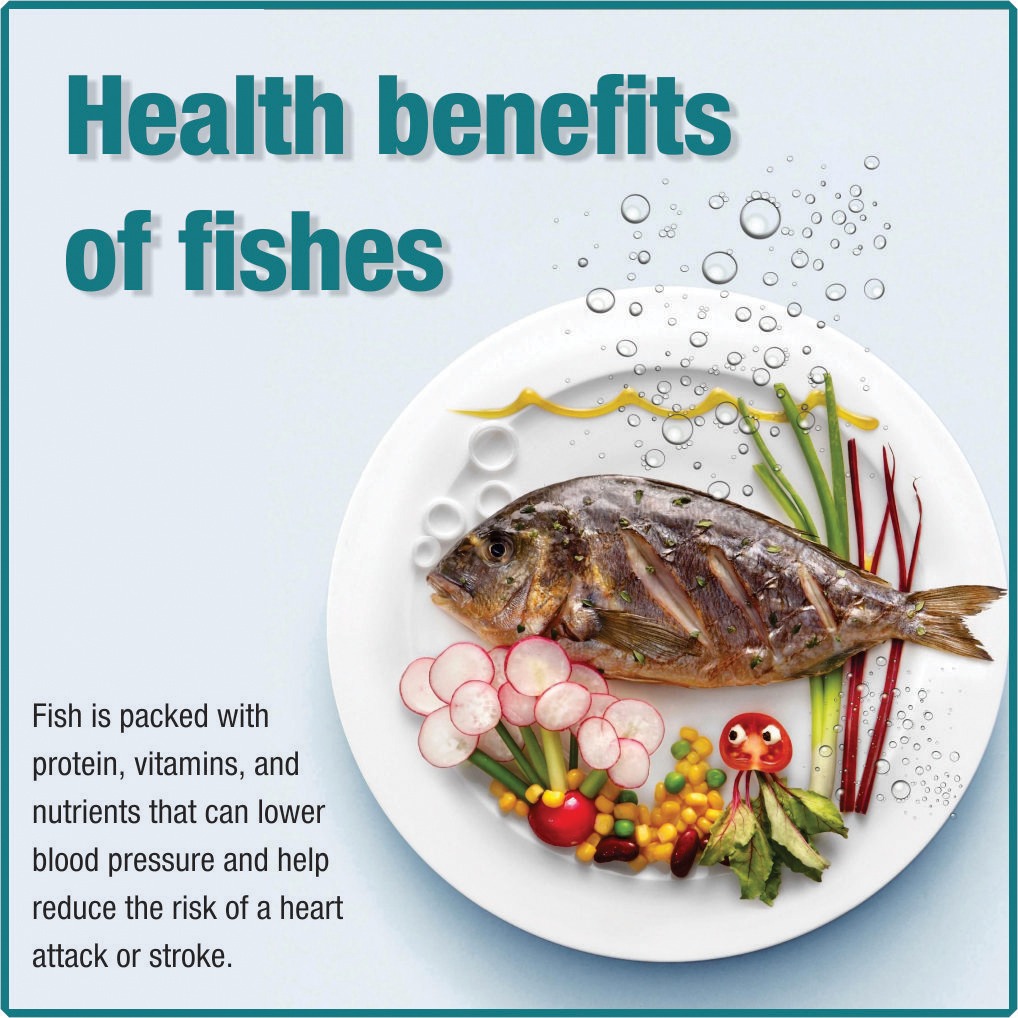FisheriesGoI's tweet photo. #Fish is a low-fat high quality protein. Fish is filled with #Omega_3 fatty acids &amp; vitamins such as D &amp; B2 
#HealthBenefits #SaturdayThoughts
@girirajsinghbjp @PIB_India @narendramodi https://t.co/Zl5ZUgwbKY