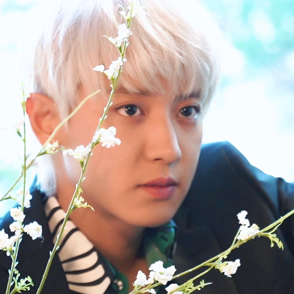 knockknock0408's tweet image. CHANYEOL
@weareoneEXO