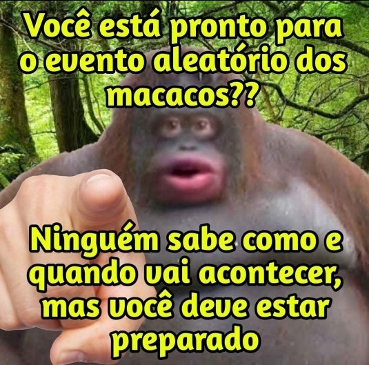 respostas a pessoas da minha esquizofrenia tweet media