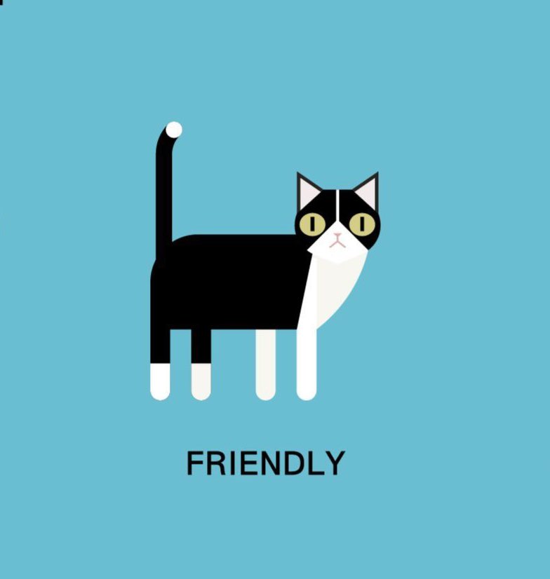 1-اذا عطاك ظهره ورفع ذيله ولزق يم ريولك يعني انت امه،، اي اي امه لانه القطاوه الصغار يسوون هالحركه حق امهم عشان تنظفهم2-اذا رفع ذيله اول مايشوفك يعني انه-يشعر بالود اتجاهك-طلب صداقه-مستانس انه شافكيتبع..