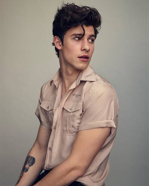 4) Shawn Mendes