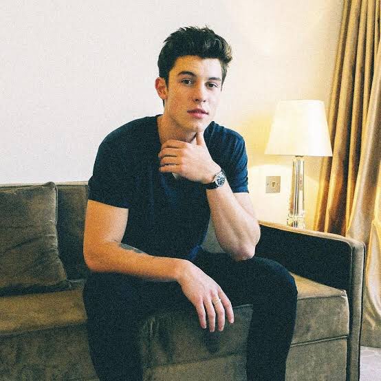 4) Shawn Mendes