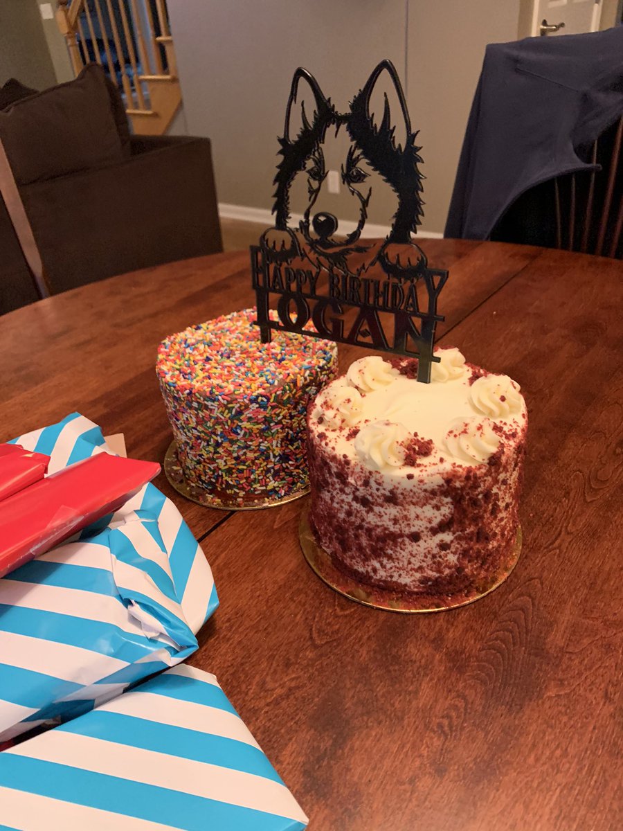 husky themed birthday party