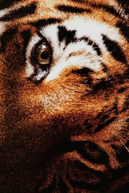 #🔗🔗👓
    
    𝐼'𝓂 𝕭randy nice to meet ya #  𝕋aeyong 95's ☢️
'̾.̾ rt   ๋-𝓶𝓪𝓴𝓮 𝓯𝓻𝓲𝓮𝓷𝓭𝓼-  แลกฟอล ตามทัก

ยพท ลฟตท rt ตามทัก